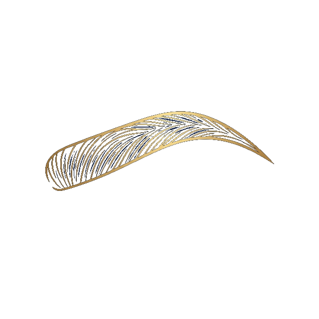 Eyebrow Microblading